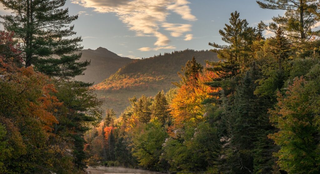 londonderry manufacturing — Morning Autumn stream on Bear Notch Road in the White Mountain national Forest - New Hampshire